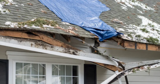 Are Homeowners Underestimating the Impact of Roof Runoff on Their Property’s Health?