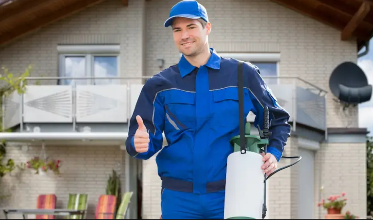 Why North Carolina Residents Are Making the Switch to Recurring House Cleaning and Pest Control Services