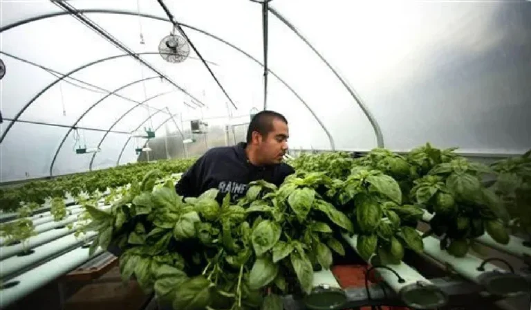 Tips for Choosing the Right Electrical Boxes