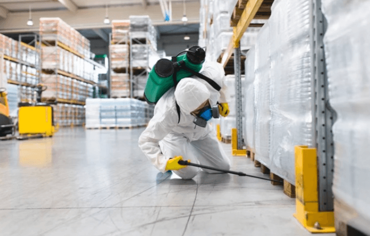 The Rodent Contractor Questions Every Warehouse Tenant Should Ask